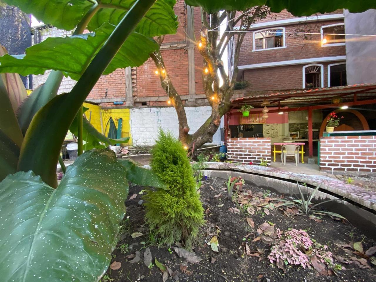 Garden House Hostal Baños Exteriér fotografie
