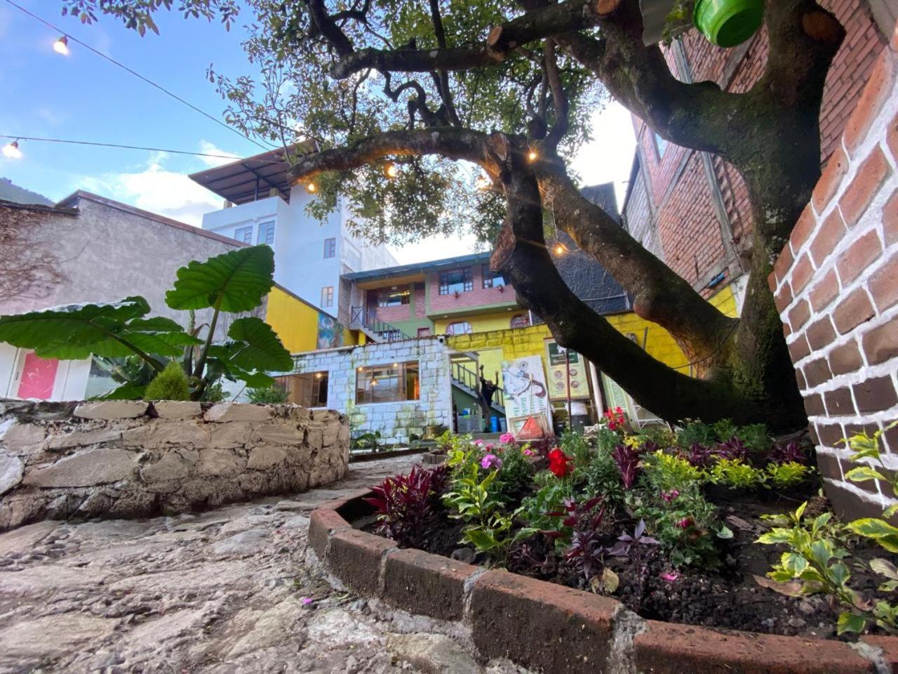 Garden House Hostal Baños Exteriér fotografie