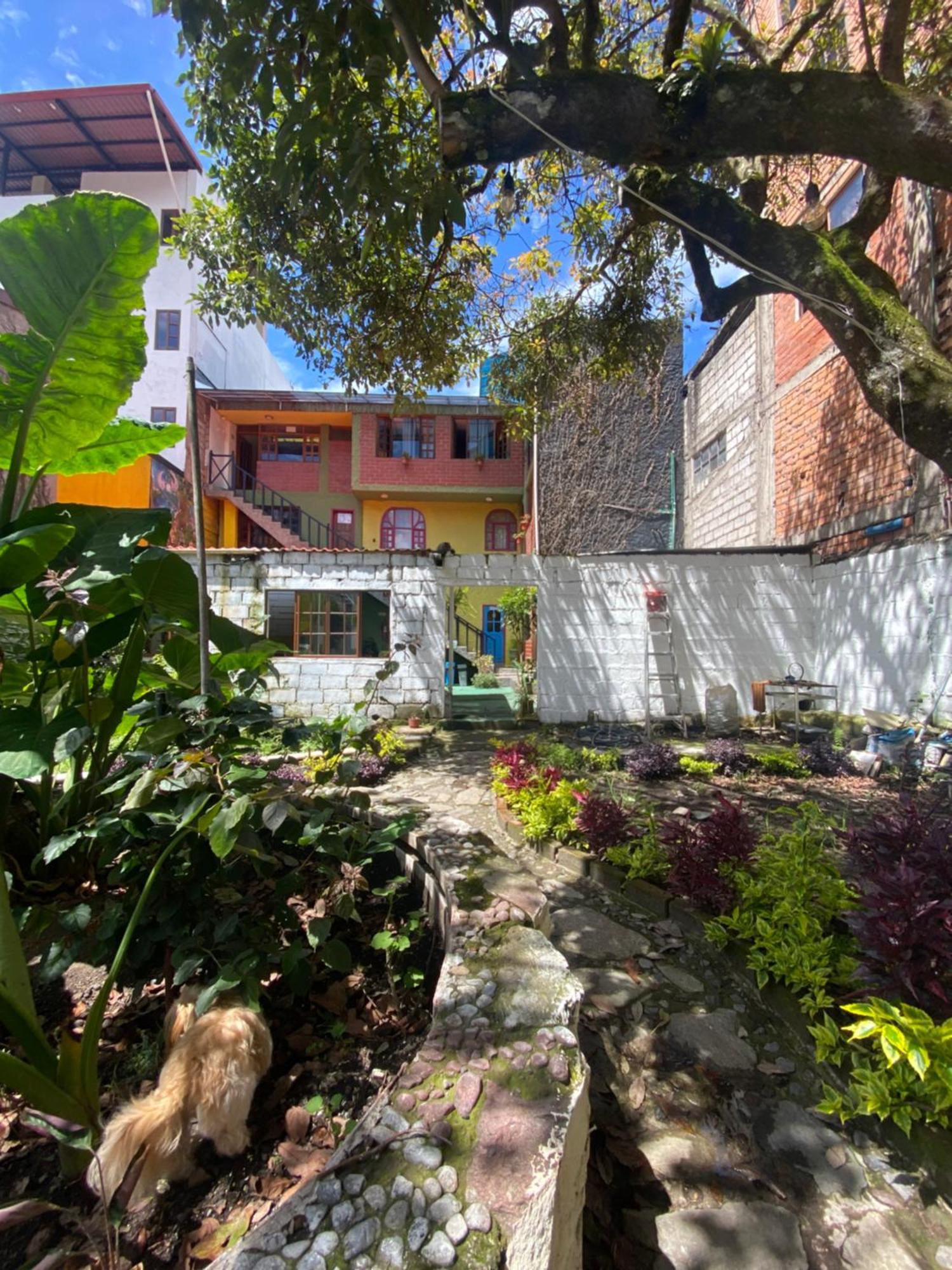 Garden House Hostal Baños Exteriér fotografie